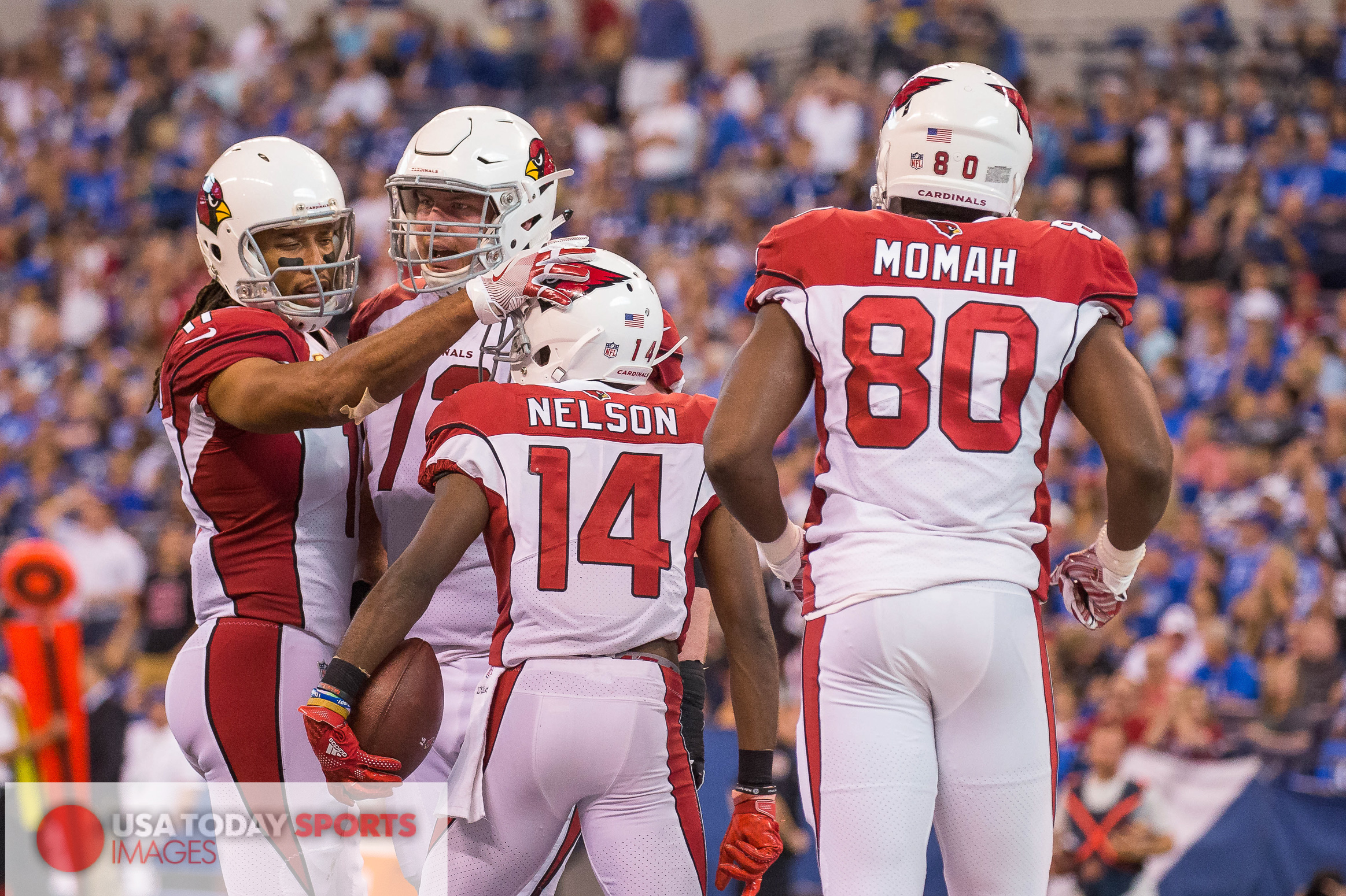 NFL: Arizona Cardinals At Indianapolis Colts